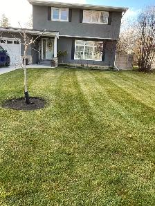 spring cleanup