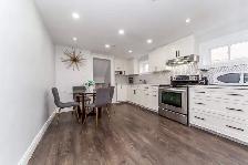1 BEDROOM BASEMENT APT. AVAILABLE JUNE 1ST