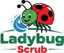 Cleaning Lady Needed On Call - URGENT