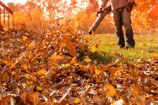 Spring Cleanup & Landscaping Services – Affordable & Reliable!