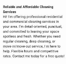 cleaner heavy duty