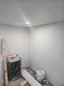Professional Painter