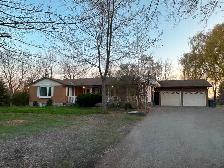 Basement apartment