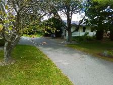 1 bedroom basment apartment  for rent