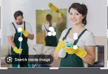 looking for cleaners and property manager