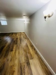All-Inclusive Basement Separate Entrance Downtown Kitchener