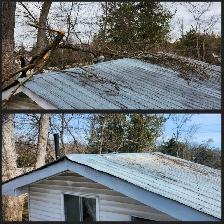 Offering yard, tree and roof repairs or anyother jobs