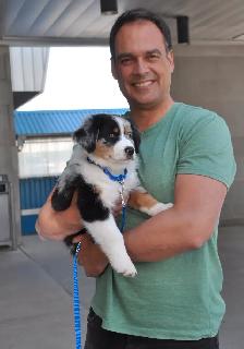 Mississauga Dog & Puppy Trainer