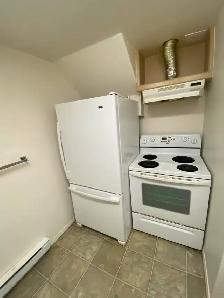 Spacious 2 Bedroom Basement Suite in Steinbach Available June 1!