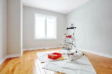 painter/ helper