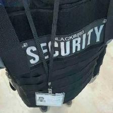 need a fulltime job in a security