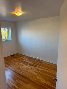 Painter and taper