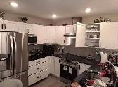 Professional Handy-Man/Worker Available