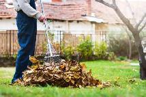 Yard clean-up