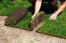 Cleaning Backyard and Sod installation services Available