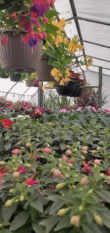 garden center help