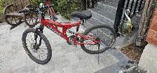 Mongoose Mountain Bike
