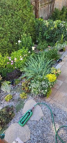 Garden Help