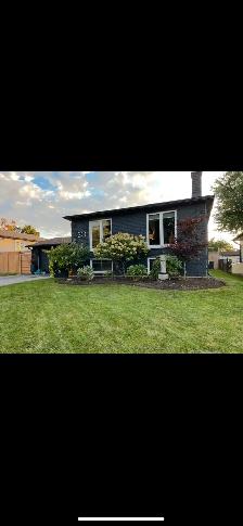 Landscape/Gardening