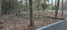 Looking for landscape helper in rural King