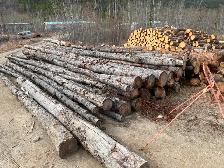 Wanted wood cutter