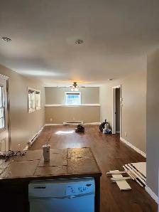 professional Painting