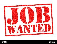 Looking for cash work!