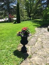 Grass Cutting Help Needed