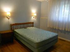 Room near Algonquin College