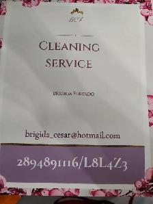 Cleaning service