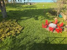 Landscaping Help $20 Hour Cash Paid Daily