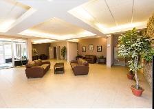 1 bedroom condo for rent
