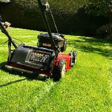 lawn care - 20$