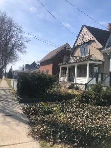 Digging & Landscaping Help – $20/hr