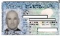 Experienced Forklift Operator/Driver (Canadian Citizen)