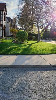 Landscaper Helper