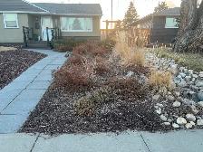 yard work and clean up