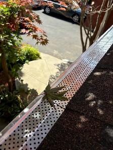 Affordable Roof Repair Replace & Eavesdrop Gutter $99