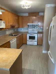 4 1 / 2 à louer Condos Brossard disponible
