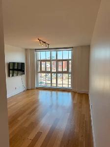 Osborne Village-1 BR Condo For Rent