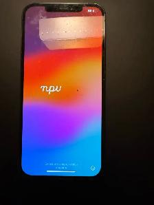 iPhone 12 Pro Max