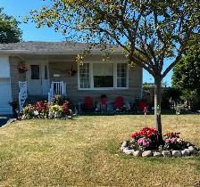 Bathurst/Sheppard-1 bedroom basement apartment for rent