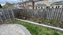 backyard Spring clean up