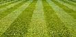 Reliable Lawncare services for spring and summer available