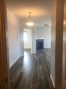 For Lease: Newly Renovated 2 Bedroom, 2 Bath Downtown (Oliver)