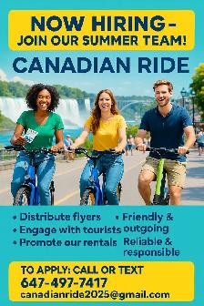 Looking reliable helper-sales