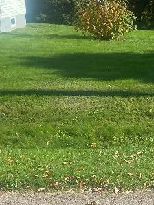 grass cutter