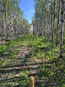 Custom fencing