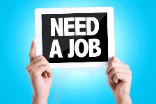 Job Needed ( Immediate join )