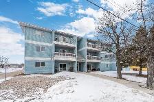 2 bedroom updated Condo for rent in Beausejour